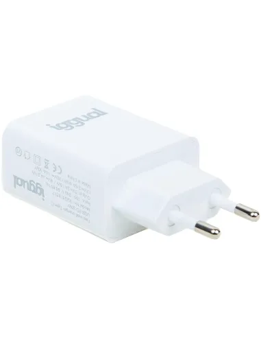 iggual IGG318317 Cargador Rápido de Pared USB PD Tipo C 30W