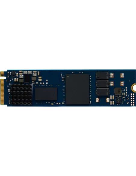 Kingston DC2000B SSD M.2 960GB PCIe 4.0