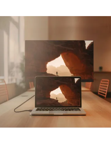 Aisens A124-0740 Cable Displayport V12 CCS 4K 60Hz 2m Negro