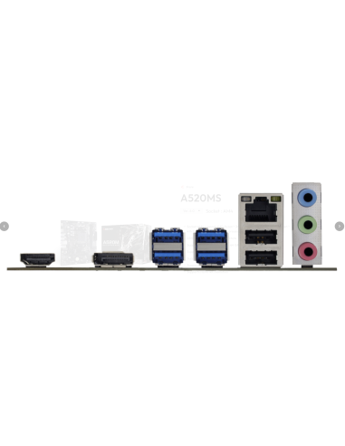Biostar A520MS
