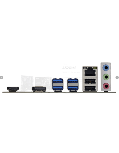 Biostar A520MS