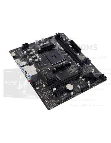 Biostar A520MS