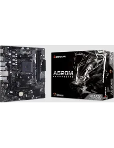 Biostar A520MS