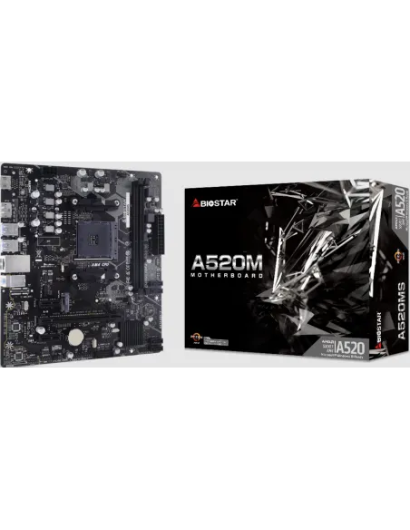 Biostar A520MS