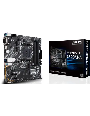 Asus PRIME A520M-A