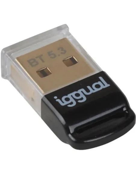 iggual IGG319383 Adaptador USB-A Inalámbrico 2.0 Bluetooth 5.3