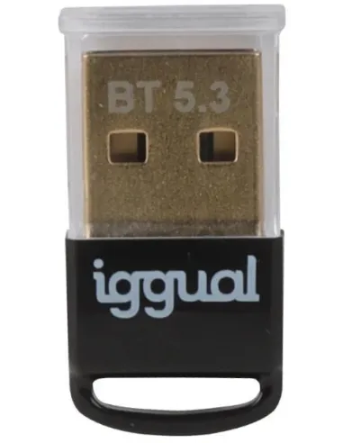 iggual IGG319383 Adaptador USB-A Inalámbrico 2.0 Bluetooth 5.3