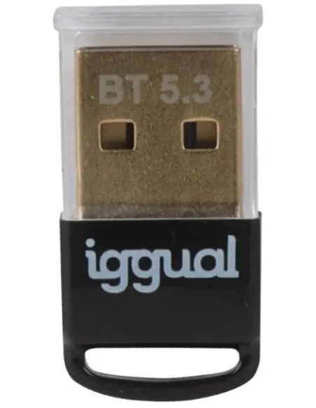 iggual IGG319383 Adaptador USB-A Inalámbrico 2.0 Bluetooth 5.3