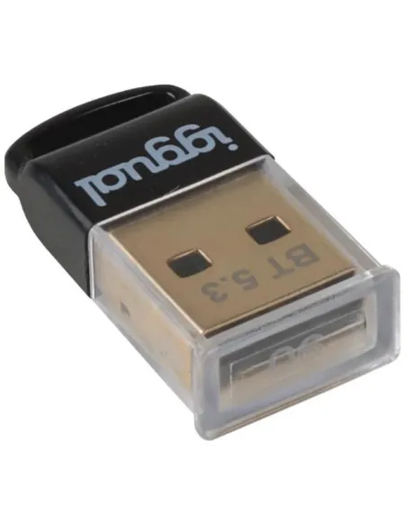 iggual IGG319383 Adaptador USB-A Inalámbrico 2.0 Bluetooth 5.3