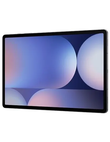 Samsung Galaxy S10 12.4" 5G 12/512GB Gris