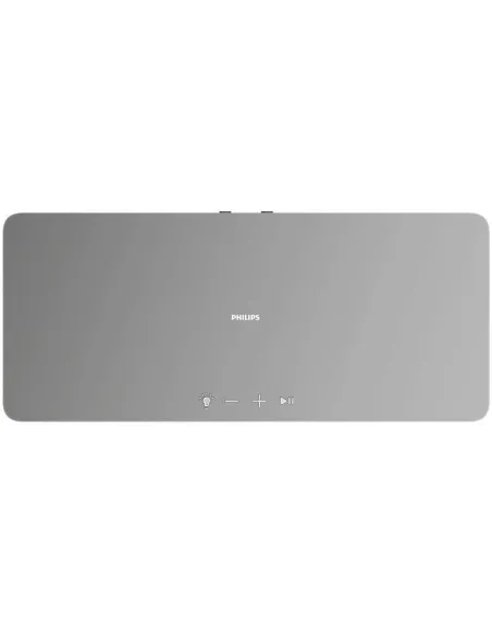 Philips W6505/10 Altavoz Portátil 80W Gris