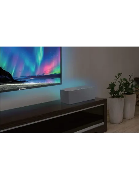 Philips W6505/10 Altavoz Portátil 80W Gris