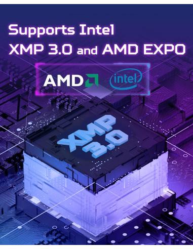 Acer Predator Pallas II DDR5 6000 Mhz 32GB CL32 Negro