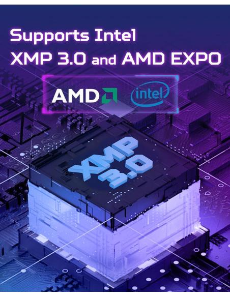 Acer Predator Pallas II DDR5 6000 Mhz 32GB CL32 Negro