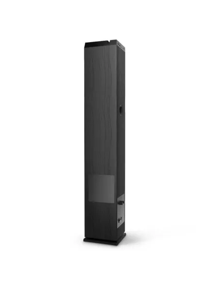 Energy Sistem Tower 5 MAX Torre de sonido Negra