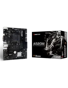 Biostar A520MHP-IPBPA40191