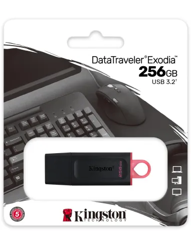 Kingston DataTraveler Exodia 256GB USB 3.2