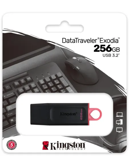 Kingston DataTraveler Exodia 256GB USB 3.2