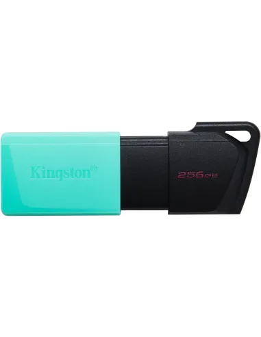 Kingston DataTraveler Exodia M Unidad Flash USB 256GB USB 3.2 Negro/Turquesa