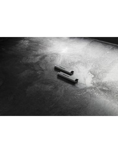 Kingston DataTraveler Max 1TB USB 3.2 Gen 2 Negro