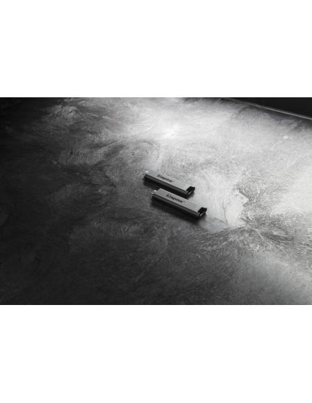 Kingston DataTraveler Max 1TB USB 3.2 Gen 2 Negro