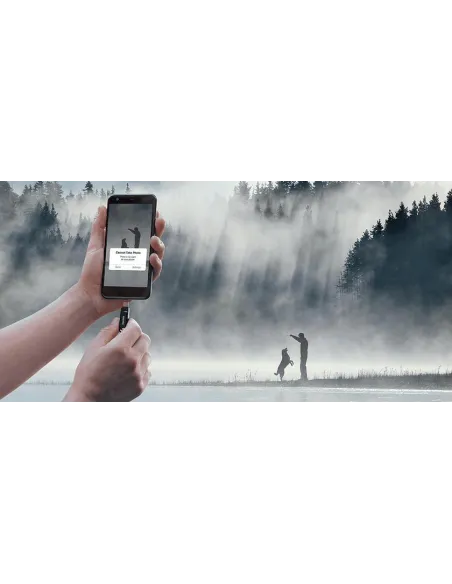 SanDisk Ultra Dual Drive Go 32GB USB 3.1 Negro