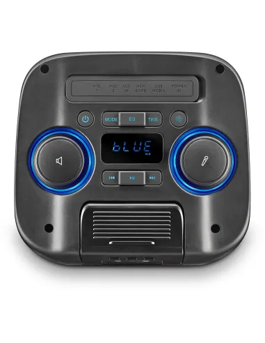 NGS WILDCLUB Altavoz Inalámbrico Bluetooth RGB 80 W