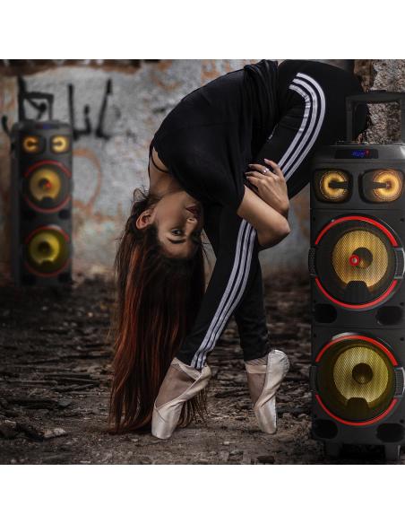 NGS Wild Dub 1 Altavoz Portátil de 300W Bluetooth y True Wireless Doble Subwoofer 8"