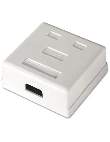 Aisens A139-0302 Roseta de Superficie Cat.6 2 Tomas RJ-45 Blanco