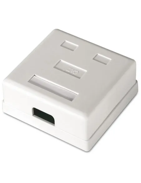 Aisens A139-0302 Roseta de Superficie Cat.6 2 Tomas RJ-45 Blanco