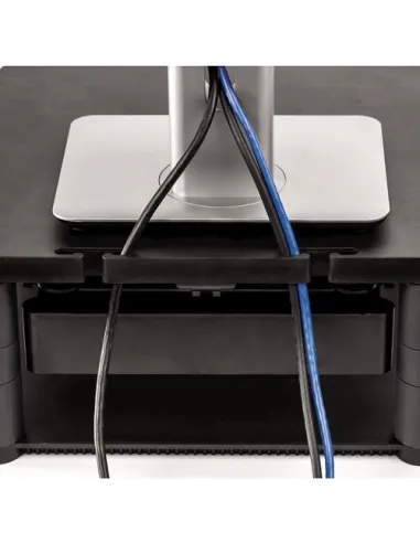 Fellowes 9169501 Soporte de Mesa 21" hasta 36Kg Gris