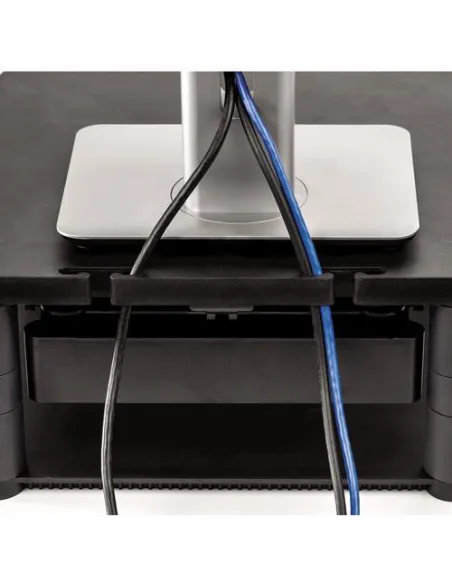 Fellowes 9169501 Soporte de Mesa 21" hasta 36Kg Gris