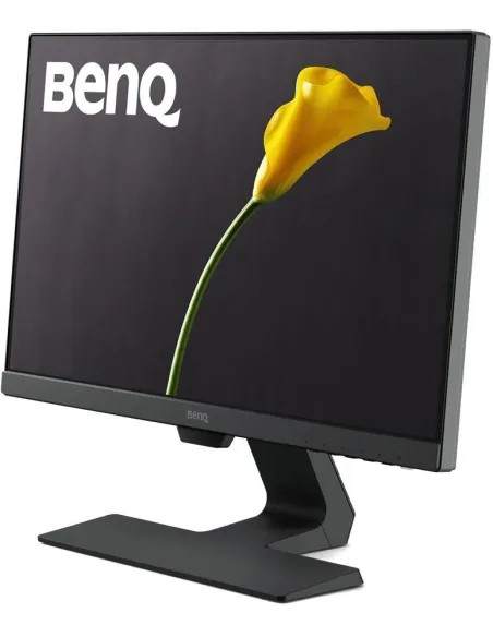 Benq GW2283 21.5 "LED IPS FullHD 60Hz