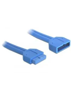 Delock 82943 Cable Interno USB 3.2 0,45m Azul-958121
