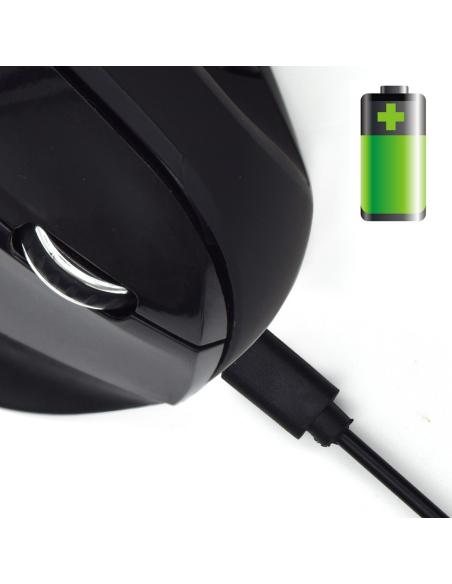 Ewent EW3158 Ratón Ergonómico Inalámbrico 1600 DPI Negro