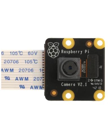 Raspberry Pi PiNoir 913-2673 Módulo de Cámara V21 Multicolor