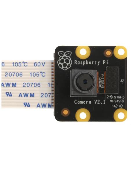 Raspberry Pi PiNoir 913-2673 Módulo de Cámara V21 Multicolor