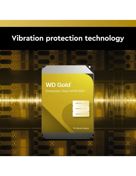 Western Digital Gold WD6004FRYZ HDD 3.5" 6TB SATA3