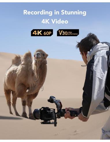 Lexar Professional Silver Plus SDXC 256GB UHS-I