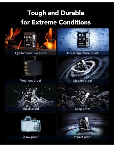 Lexar Professional Silver Plus SDXC 256GB UHS-I