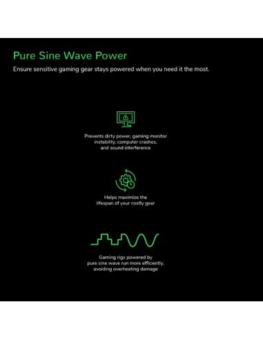 APC Back-UPS Pro SAI Línea Interactiva 2200VA 1320W