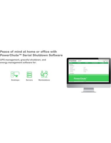 APC BX1600MI SAI Línea interactiva 1600VA 900W