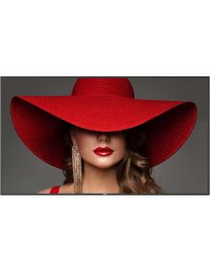 Philips 75BDL4650D 75" Pantalla Interactiva LCD 4K Ultra HD Negro-1372164