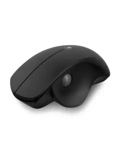 Ewent EW3151 Ratón Inalambrico 1600DPI Negro