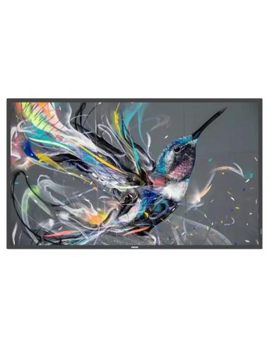 Philips Signage solutions Q-Line 75BDL3511Q/00 75" Pantalla Interactiva IPS 4K Ultra HD Negro