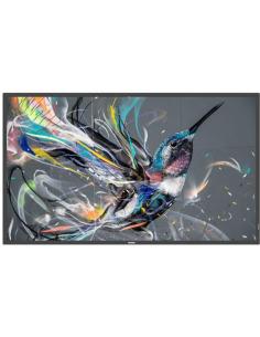 Philips Signage solutions Q-Line 55" Pantalla Interactiva IPS 4K Ultra HD Negro-1364860