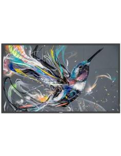 Philips Q-Line 50BDL3511Q/00 50" Pantalla Interactiva VA 4K Ultra HD Negro-1364858