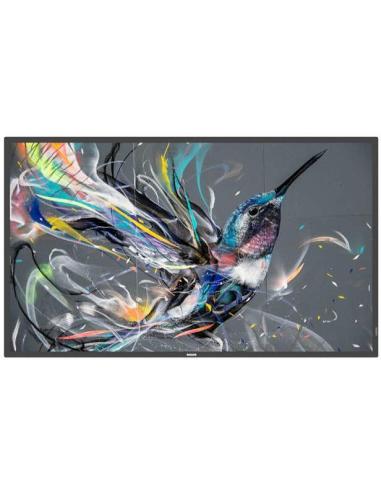 Philips Q-Line 50BDL3511Q/00 50" Pantalla Interactiva VA 4K Ultra HD Negro