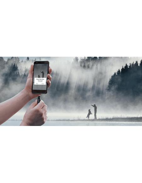 SanDisk Ultra Dual Drive Go USB Type-C 64GB