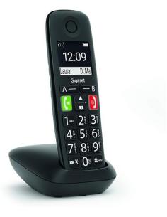 Gigaset E290 Teléfono Inalámbrico DECT Negro-1339031